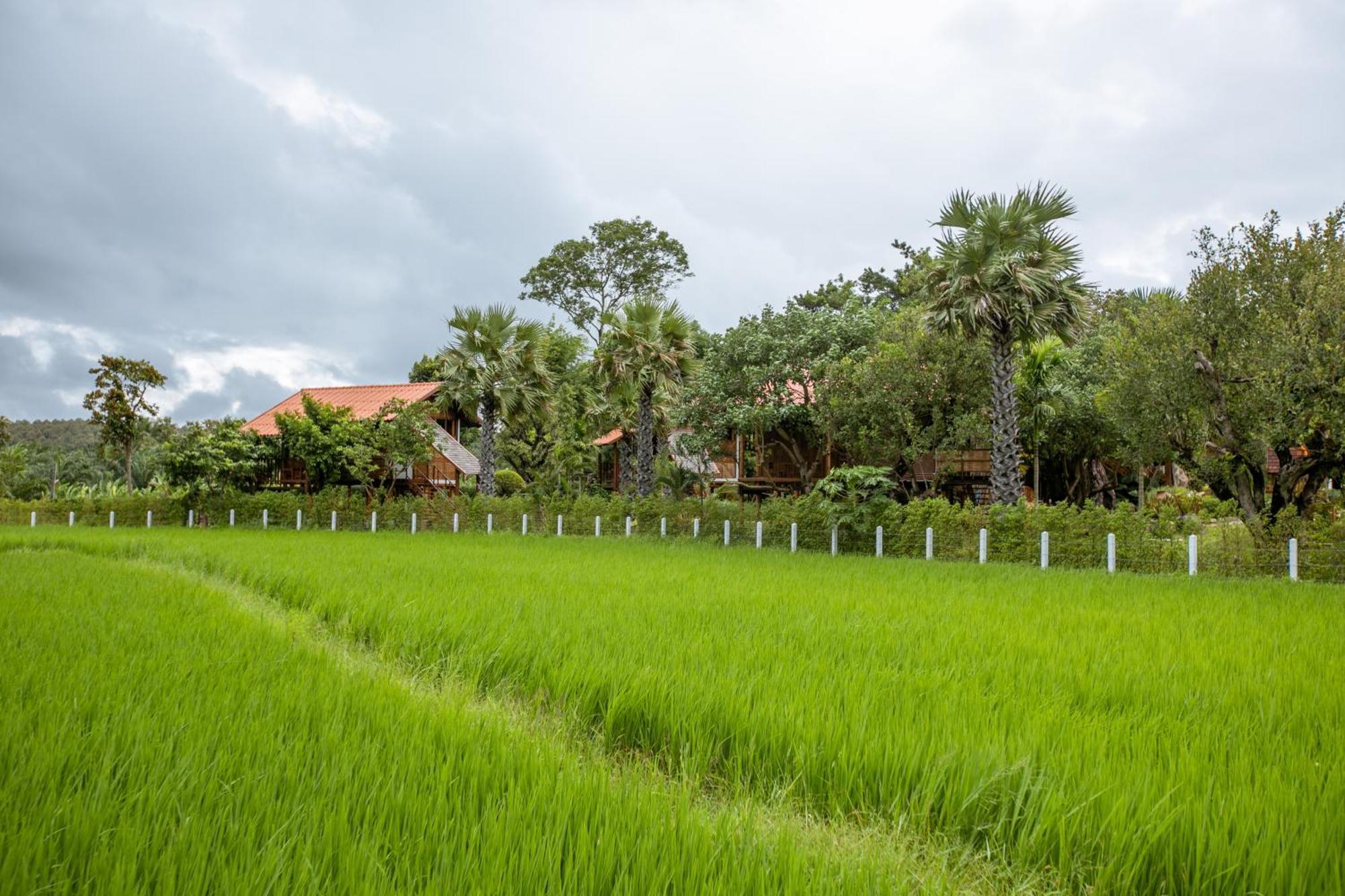 Saksila Resort Nan Exterior photo