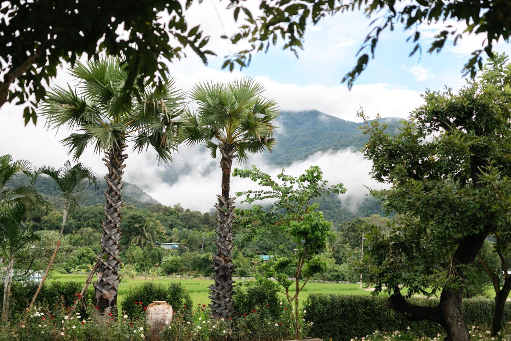 Saksila Resort Nan Exterior photo